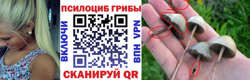 Галлюциногенные грибы мицелий Старая Русса