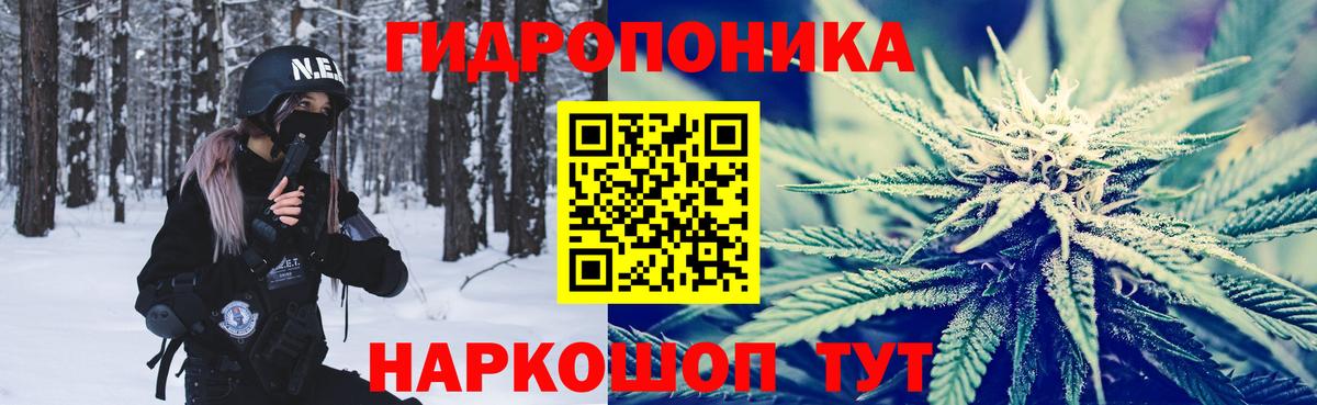 Бошки Шишки конопля  Бошки марихуана сатива  Каннабис Ganja  Старая Русса  Вход с VPN 
